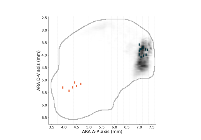 plot_fibers_in_striatum_side_view.py